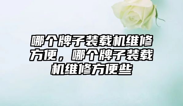 哪個牌子裝載機維修方便，哪個牌子裝載機維修方便些