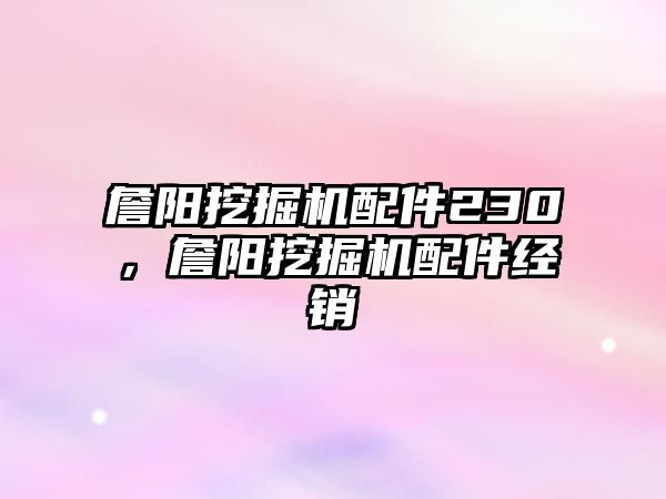 詹陽挖掘機配件230，詹陽挖掘機配件經(jīng)銷