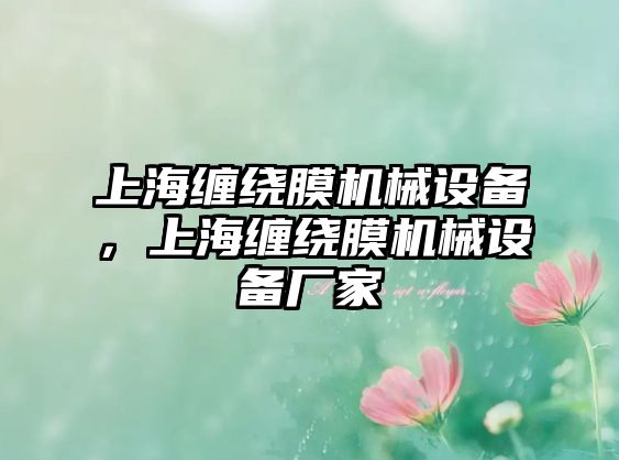 上海纏繞膜機(jī)械設(shè)備，上海纏繞膜機(jī)械設(shè)備廠家