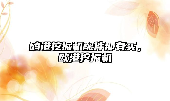 鷗港挖掘機(jī)配件那有買(mǎi)，歐港挖掘機(jī)