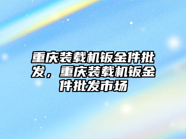 重慶裝載機(jī)鈑金件批發(fā)，重慶裝載機(jī)鈑金件批發(fā)市場