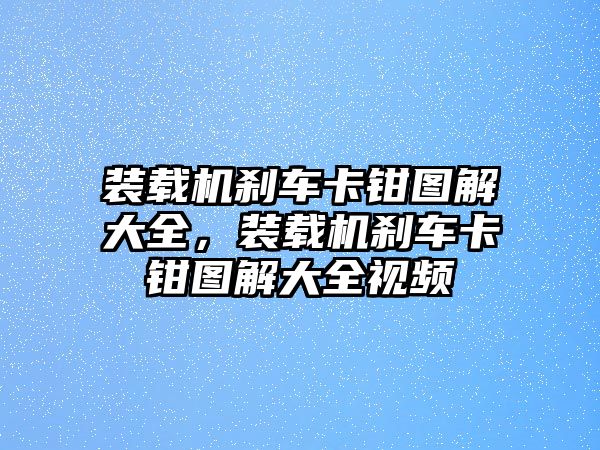 裝載機(jī)剎車(chē)卡鉗圖解大全，裝載機(jī)剎車(chē)卡鉗圖解大全視頻