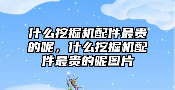 什么挖掘機配件最貴的呢，什么挖掘機配件最貴的呢圖片