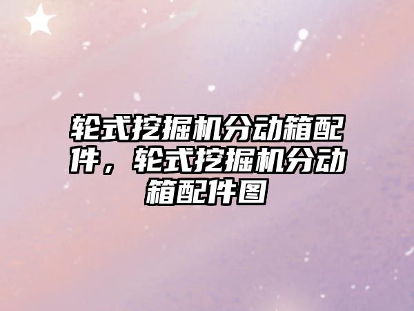 輪式挖掘機分動箱配件，輪式挖掘機分動箱配件圖