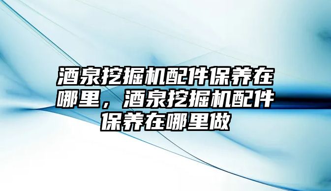 酒泉挖掘機(jī)配件保養(yǎng)在哪里，酒泉挖掘機(jī)配件保養(yǎng)在哪里做