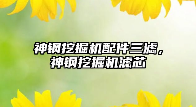 神鋼挖掘機配件三濾，神鋼挖掘機濾芯