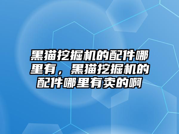 黑貓挖掘機的配件哪里有，黑貓挖掘機的配件哪里有賣的啊