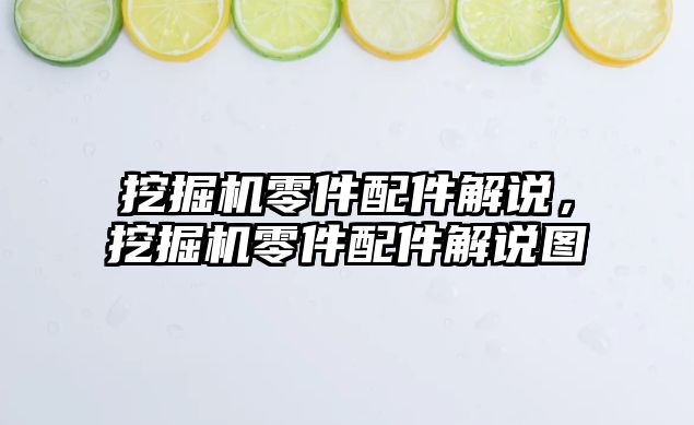 挖掘機(jī)零件配件解說(shuō)，挖掘機(jī)零件配件解說(shuō)圖