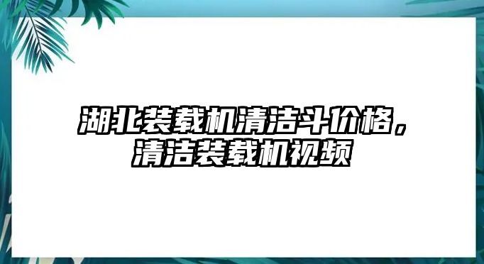 湖北裝載機(jī)清潔斗價(jià)格，清潔裝載機(jī)視頻