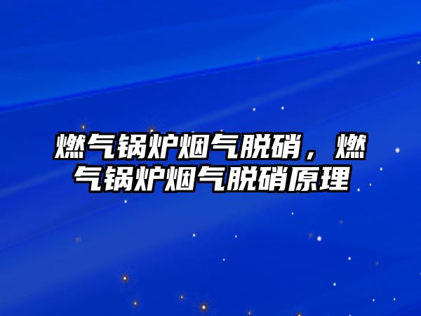 燃氣鍋爐煙氣脫硝，燃氣鍋爐煙氣脫硝原理
