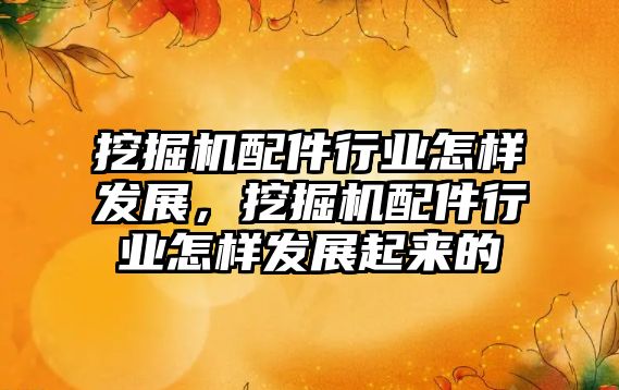 挖掘機配件行業(yè)怎樣發(fā)展，挖掘機配件行業(yè)怎樣發(fā)展起來的
