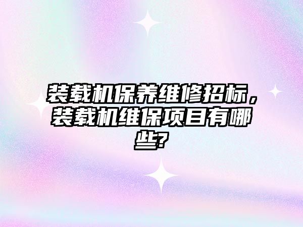 裝載機保養(yǎng)維修招標，裝載機維保項目有哪些?