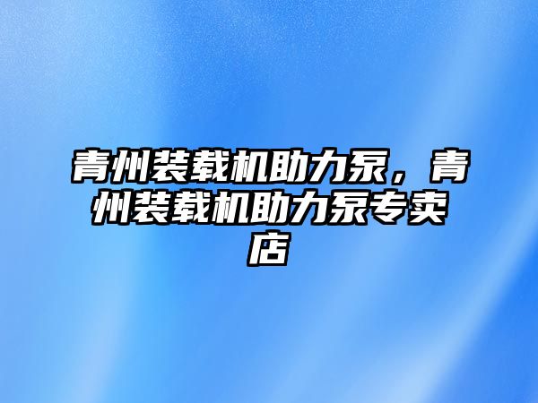 青州裝載機(jī)助力泵，青州裝載機(jī)助力泵專賣店