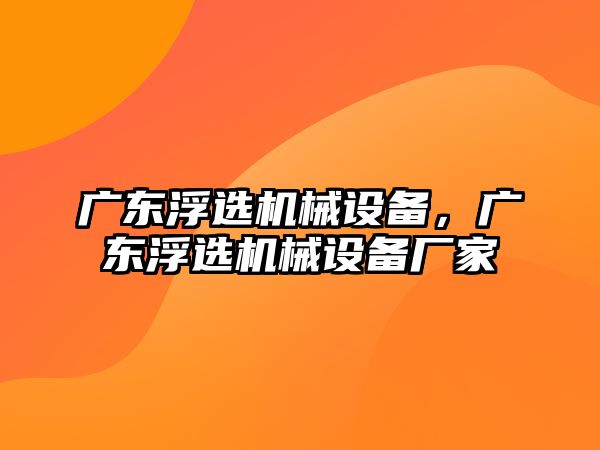 廣東浮選機械設備，廣東浮選機械設備廠家