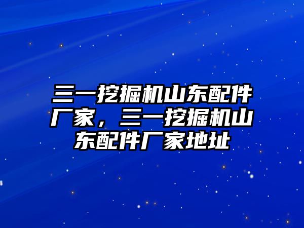 三一挖掘機(jī)山東配件廠家，三一挖掘機(jī)山東配件廠家地址