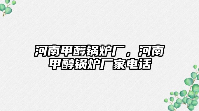 河南甲醇鍋爐廠，河南甲醇鍋爐廠家電話