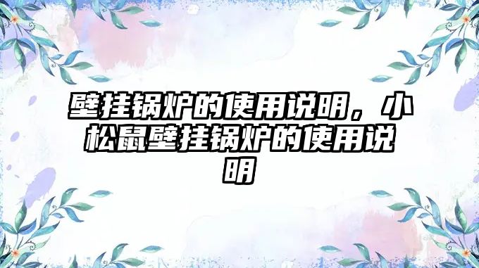 壁掛鍋爐的使用說明，小松鼠壁掛鍋爐的使用說明