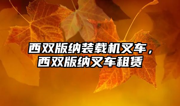 西雙版納裝載機(jī)叉車，西雙版納叉車租賃