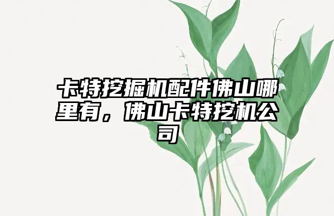 卡特挖掘機(jī)配件佛山哪里有，佛山卡特挖機(jī)公司