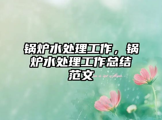 鍋爐水處理工作，鍋爐水處理工作總結(jié)范文
