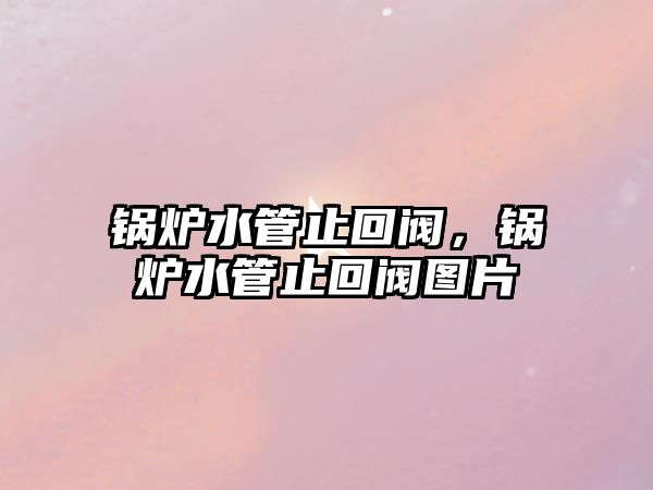 鍋爐水管止回閥，鍋爐水管止回閥圖片