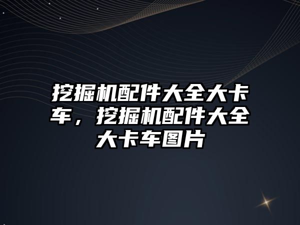 挖掘機(jī)配件大全大卡車(chē)，挖掘機(jī)配件大全大卡車(chē)圖片