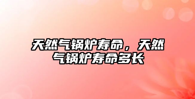 天然氣鍋爐壽命，天然氣鍋爐壽命多長(zhǎng)