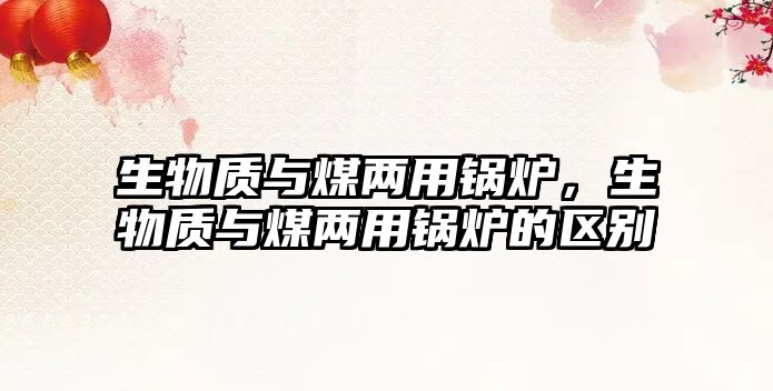 生物質(zhì)與煤兩用鍋爐，生物質(zhì)與煤兩用鍋爐的區(qū)別