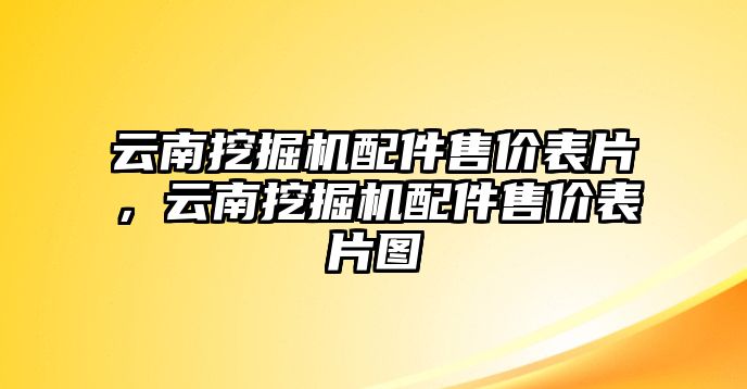 云南挖掘機配件售價表片，云南挖掘機配件售價表片圖