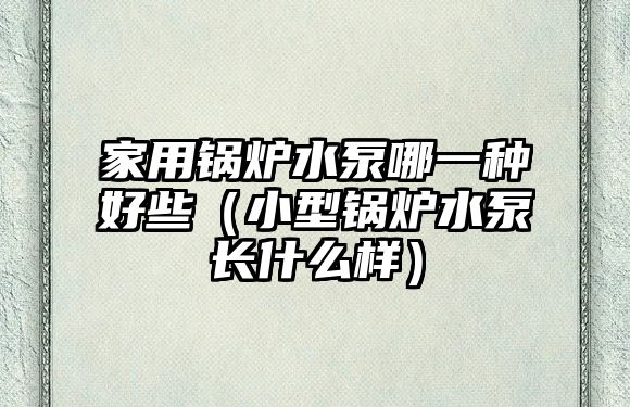 家用鍋爐水泵哪一種好些（小型鍋爐水泵長什么樣）
