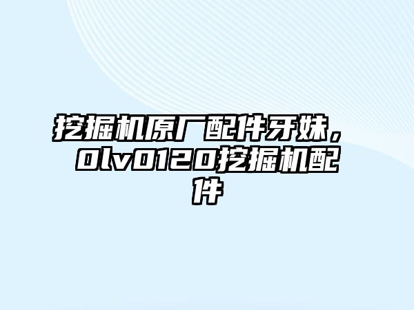 挖掘機(jī)原廠配件牙妹，ⅴ0lv0120挖掘機(jī)配件