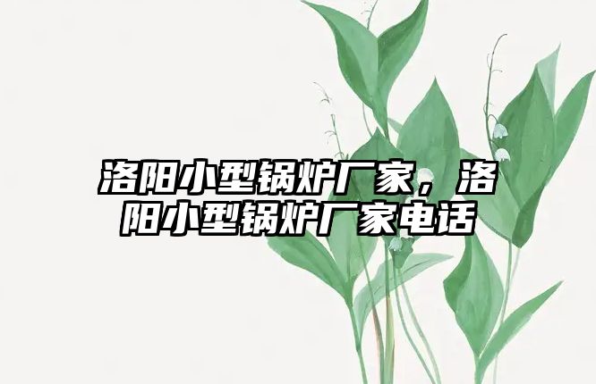 洛陽(yáng)小型鍋爐廠家，洛陽(yáng)小型鍋爐廠家電話