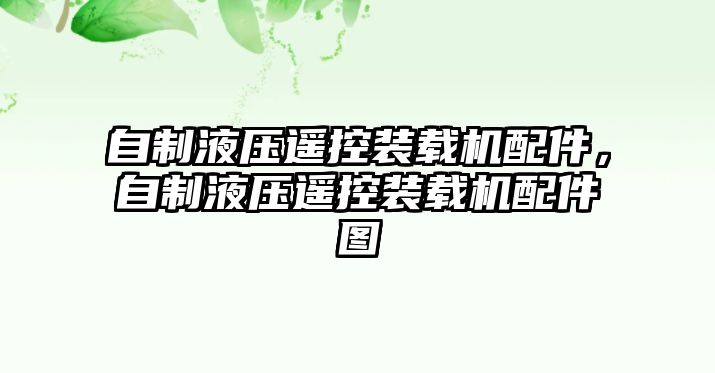 自制液壓遙控裝載機(jī)配件，自制液壓遙控裝載機(jī)配件圖