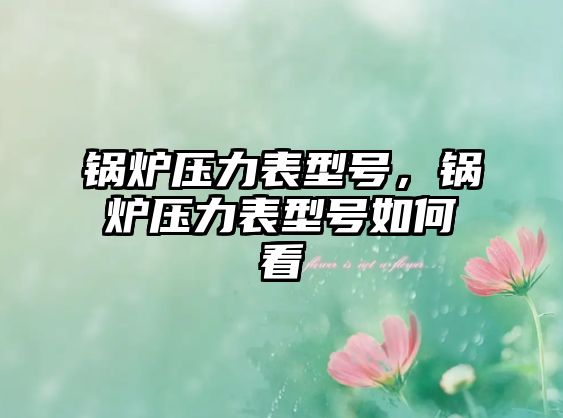 鍋爐壓力表型號，鍋爐壓力表型號如何看