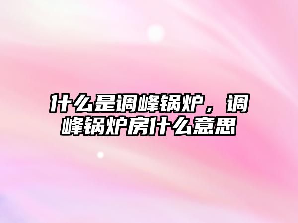 什么是調(diào)峰鍋爐，調(diào)峰鍋爐房什么意思
