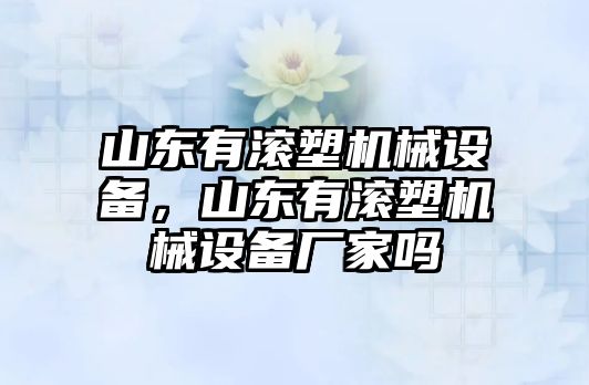 山東有滾塑機(jī)械設(shè)備，山東有滾塑機(jī)械設(shè)備廠家嗎