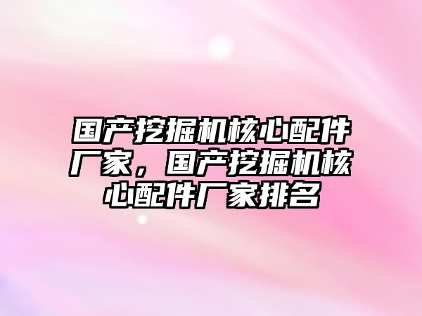 國產(chǎn)挖掘機核心配件廠家，國產(chǎn)挖掘機核心配件廠家排名