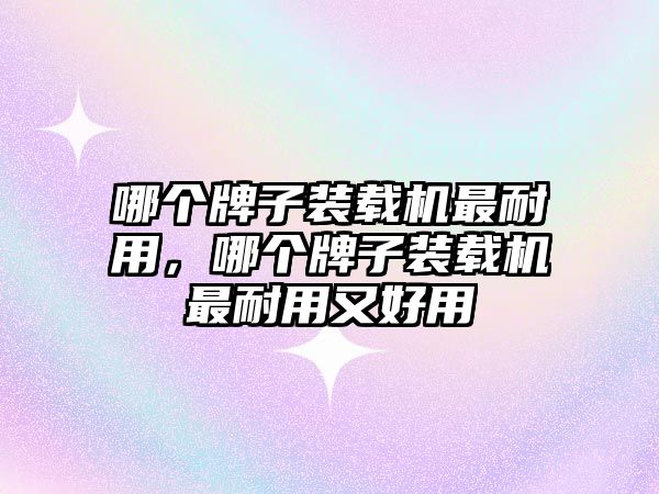 哪個牌子裝載機(jī)最耐用，哪個牌子裝載機(jī)最耐用又好用
