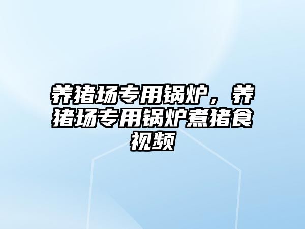 養(yǎng)豬場專用鍋爐，養(yǎng)豬場專用鍋爐煮豬食視頻