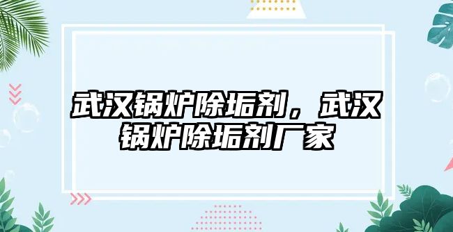 武漢鍋爐除垢劑，武漢鍋爐除垢劑廠家