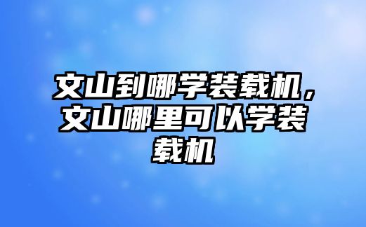 文山到哪學(xué)裝載機，文山哪里可以學(xué)裝載機