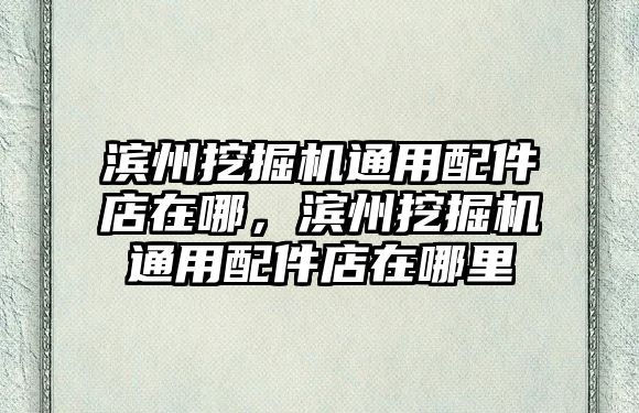 濱州挖掘機通用配件店在哪，濱州挖掘機通用配件店在哪里