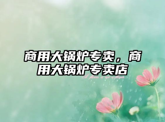 商用大鍋爐專賣，商用大鍋爐專賣店