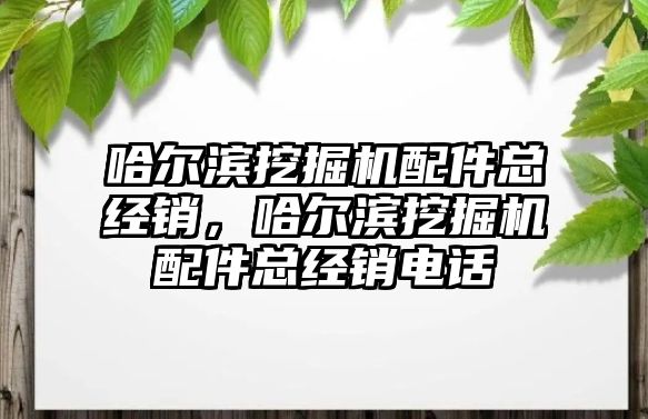 哈爾濱挖掘機配件總經(jīng)銷，哈爾濱挖掘機配件總經(jīng)銷電話