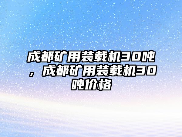 成都礦用裝載機30噸，成都礦用裝載機30噸價格