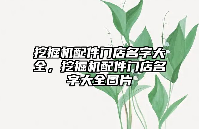 挖掘機(jī)配件門店名字大全，挖掘機(jī)配件門店名字大全圖片