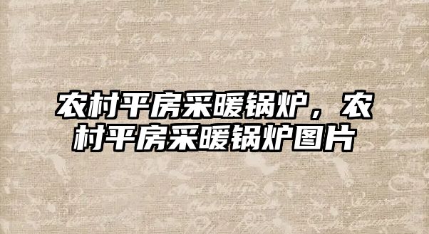 農(nóng)村平房采暖鍋爐，農(nóng)村平房采暖鍋爐圖片