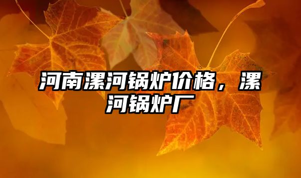河南漯河鍋爐價格，漯河鍋爐廠