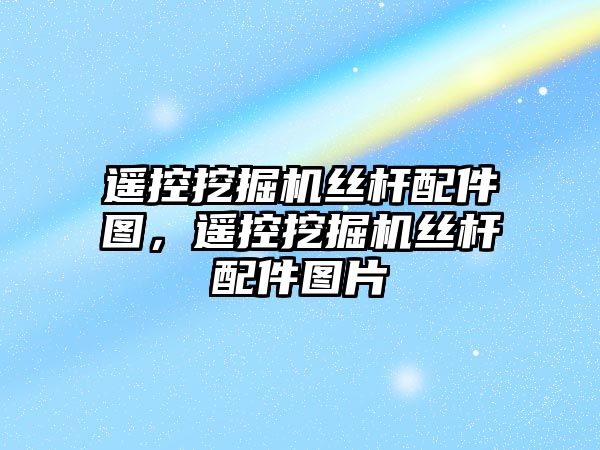 遙控挖掘機(jī)絲桿配件圖，遙控挖掘機(jī)絲桿配件圖片