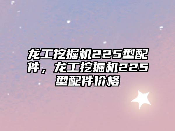 龍工挖掘機225型配件，龍工挖掘機225型配件價格